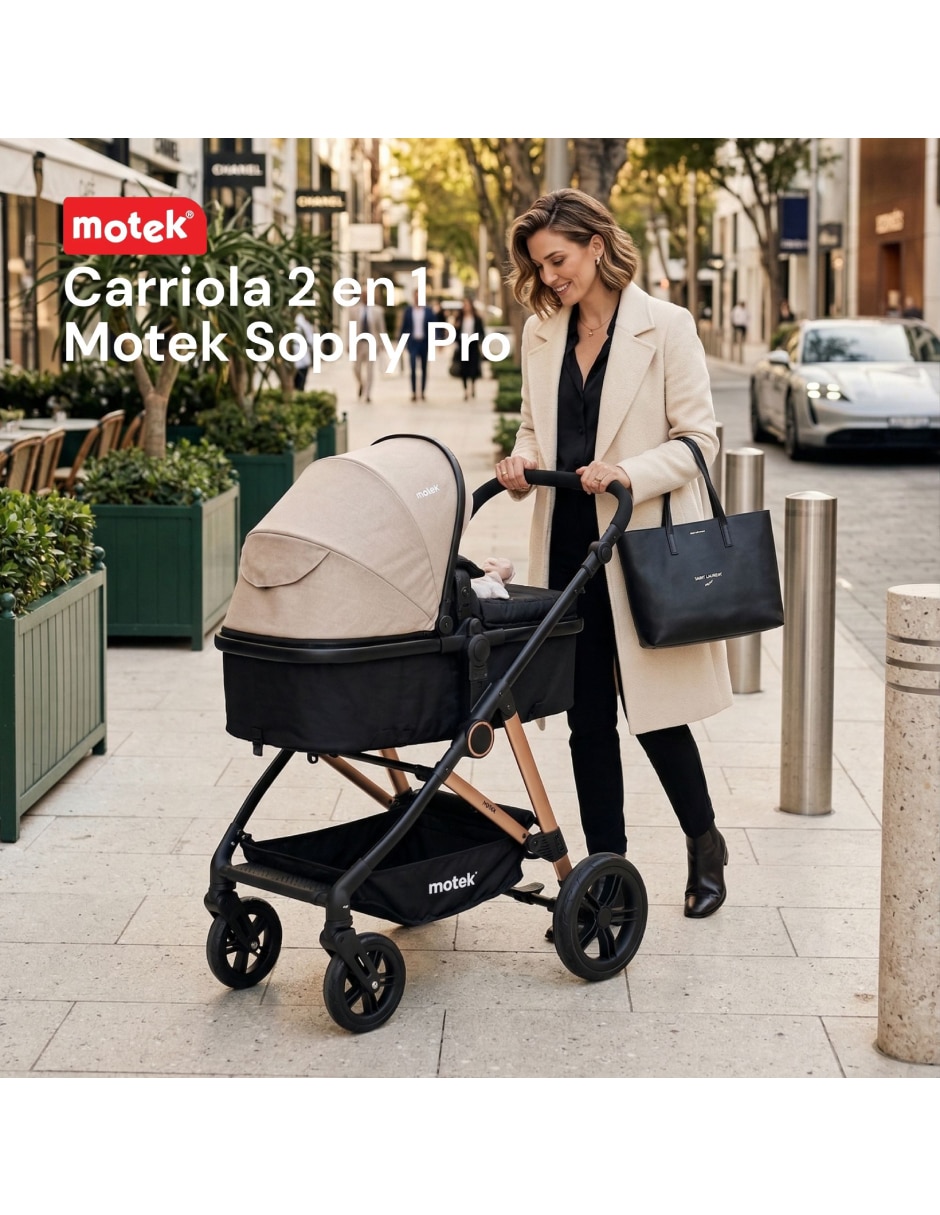 Carriola reversible carriola 2 en 1 plegable 6